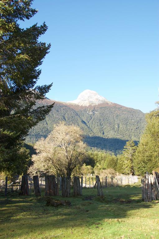 Casa Campo Carretera Austral Puerto Cisnes Luaran gambar